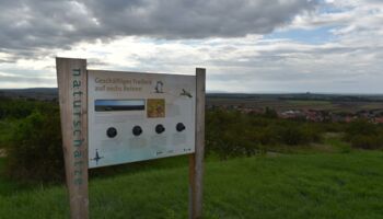 14. Weinviertelwarte