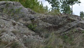13. Felstrockenrasen Feldberg