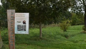 2. Retentionsbecken Roseldorf