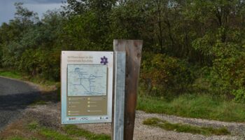 13. Felstrockenrasen Feldberg