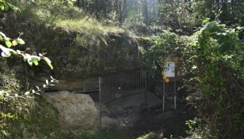 12. Muschelhöhle