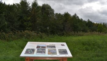 2. Retentionsbecken Roseldorf